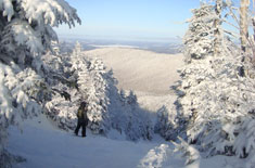 paysage_tout-blanc.jpg